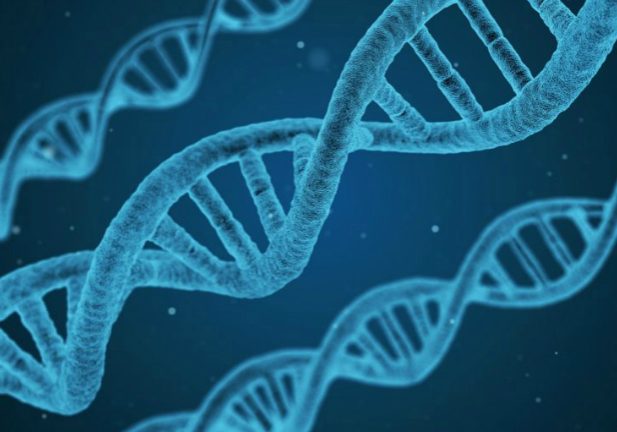 dna-700-landscape-8c584ae83c38738e610d55c3c49bb864-562bb2ca7ddd1.jpg